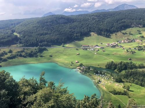 Alp Weid, 22. Juli 2020
