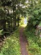 20200722-a-emmetten-5981.jpg
