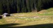 20100422-engelberg-0980.jpg