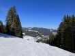 20250307-hoch-ybrig-7217.jpg
