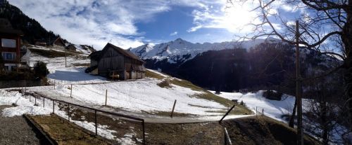 Niederrickenbach, 31. Januar 2013
