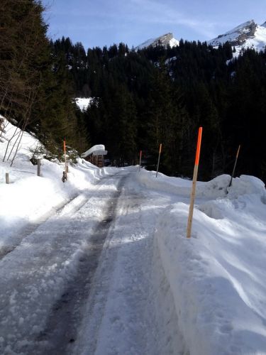 Niederrickenbach, 31. Januar 2013
