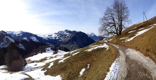Zurück nach Niederrickenbach!

