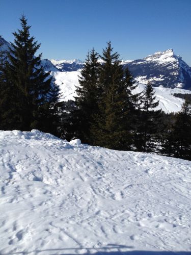 29. Februar 2012
