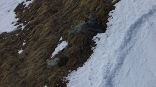 SB Lauberhorn; Resten des früheren Constam-Skiliftes?

