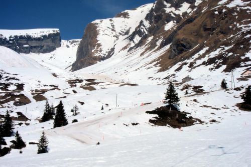 14. Februar 2011
