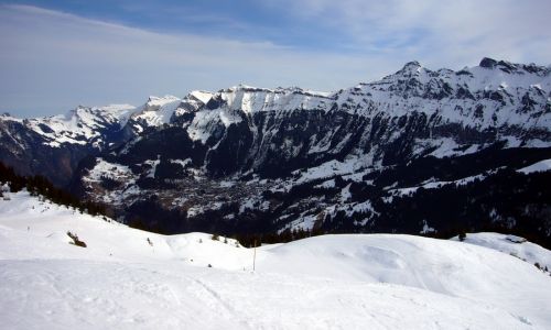 3. März 2010
