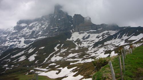 31. Mai 2009
