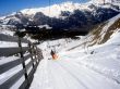 20060408-wengen-445.jpg