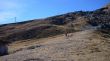 20071014-honegg-scheidegg-0637.jpg