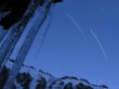 200402wengen-maennlichen.jpg