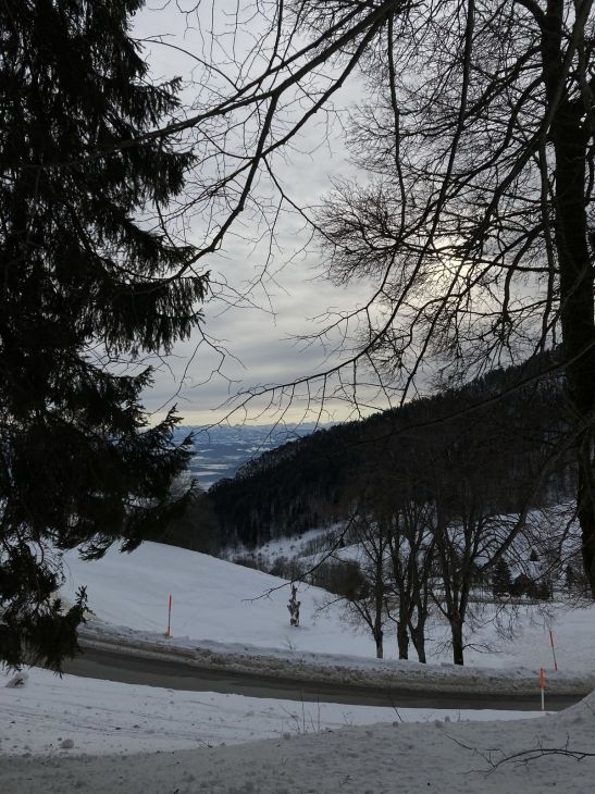 20. Januar 2021 
