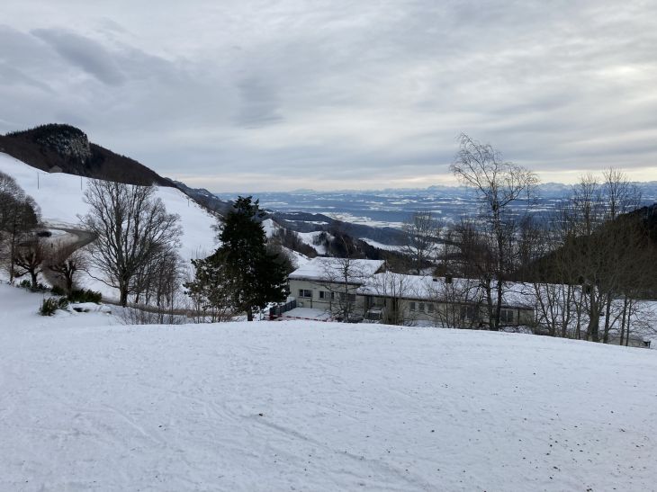 20. Januar 2021
