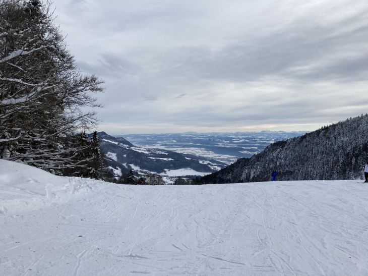 20. Januar 2021
