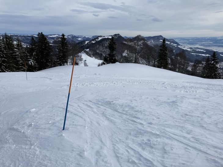 20. Januar 2021
