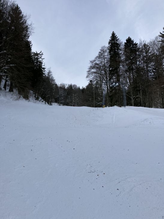 20. Januar 2021
