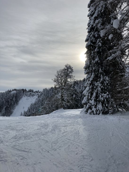 20. Januar 2021
