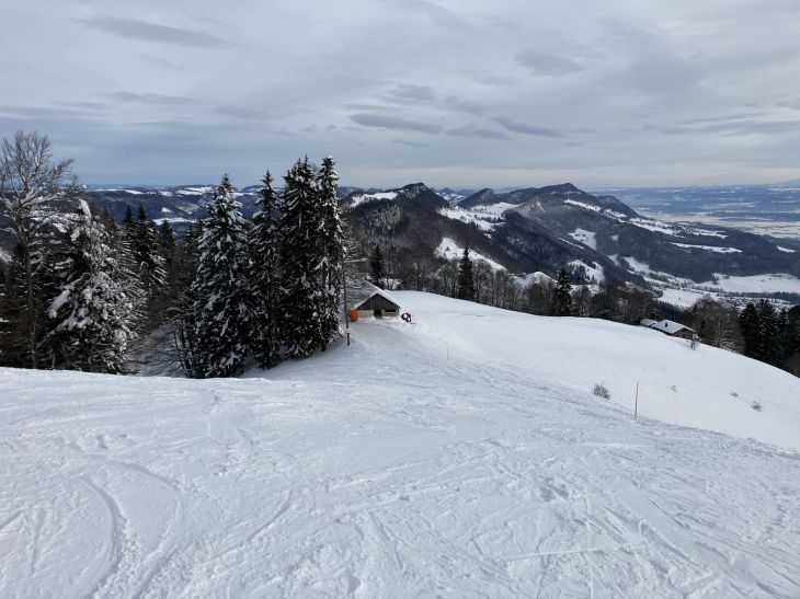 20. Januar 2021
