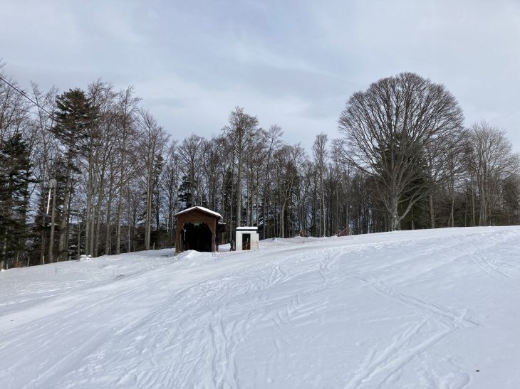 20. Januar 2021
