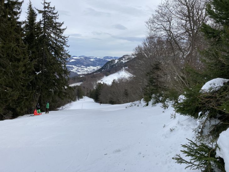 20. Januar 2021
