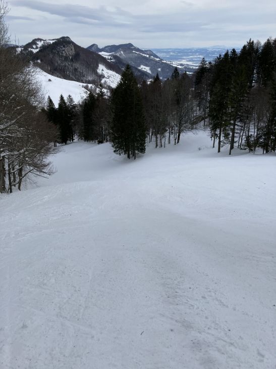 20. Januar 2021
