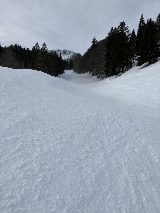 20. Januar 2021
