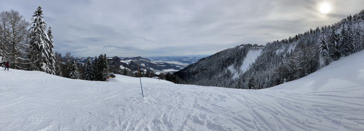 20. Januar 2021
