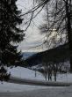 20210120-b-balmberg-2897.jpg