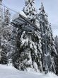 20210120-b-balmberg-2915.jpg