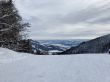 20210120-b-balmberg-2918.jpg