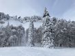 20210120-b-balmberg-2919.jpg