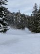 20210120-b-balmberg-2926.jpg