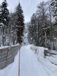 20210120-b-balmberg-2934.jpg