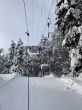 20210120-b-balmberg-2938.jpg