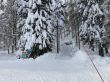 20210120-b-balmberg-2939.jpg