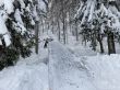 20210120-b-balmberg-2940.jpg
