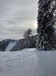 20210120-b-balmberg-2941.jpg