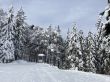 20210120-b-balmberg-2942.jpg