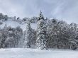 20210120-b-balmberg-2945.jpg