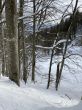 20210120-b-balmberg-2947.jpg