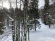 20210120-b-balmberg-2948.jpg