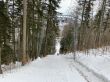 20210120-b-balmberg-2974.jpg