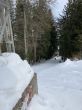 20210120-b-balmberg-2991.jpg