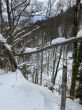 20210120-b-balmberg-3003.jpg