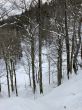 20210120-b-balmberg-3005.jpg