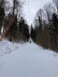 20210120-b-balmberg-3008.jpg