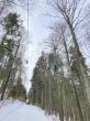 20210120-b-balmberg-3010.jpg
