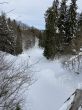 20210120-b-balmberg-3033.jpg