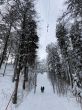 20210120-b-balmberg-3034.jpg
