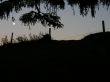 20061103-balmberg-0473.jpg
